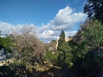Plants on landscape against sky