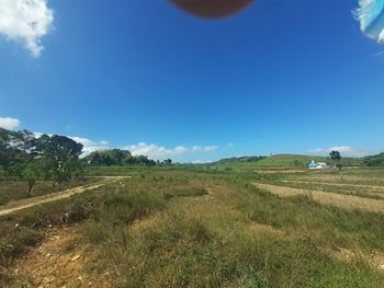 Scenic view of field against sky