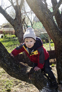 Portrait of boy climbing on bare tree at park