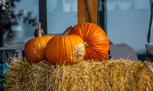 Close-up of fresh orange pumpkins