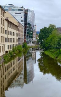 Reflection of buildings and trees in canal