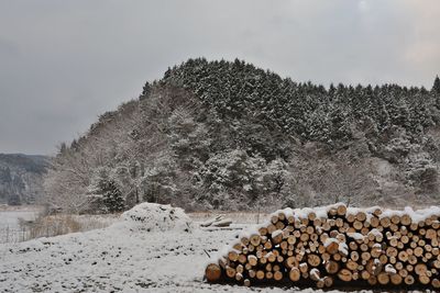 Stack of logs on snow covered land against sky