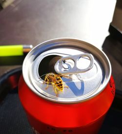 Close-up of crab on metallic container