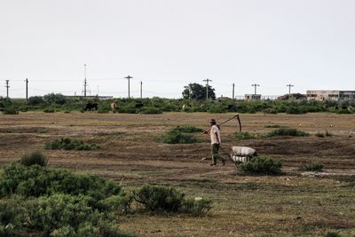 Man walking with dog on field against clear sky