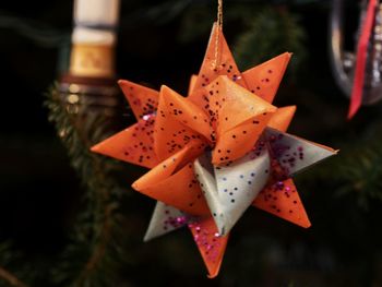 Close-up of christmas with water