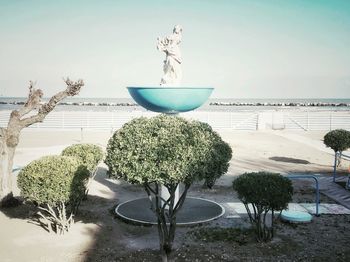 Potted plants on table against sky