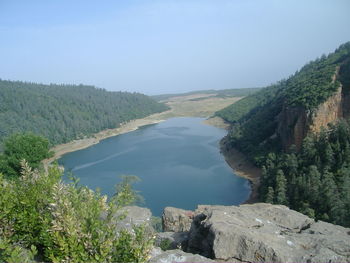 Scenic view of river amidst trees against clear sky