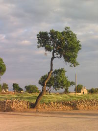 Scenic view of field against cloudy sky