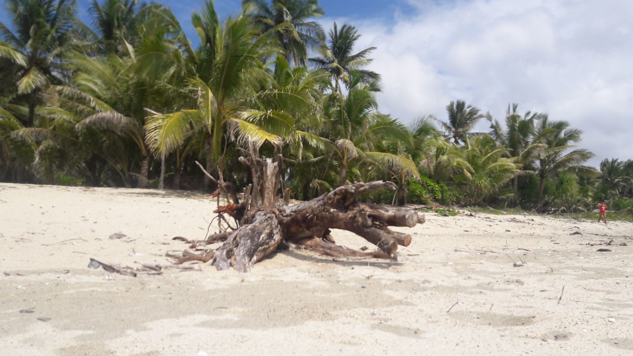 Traces of Haiyan