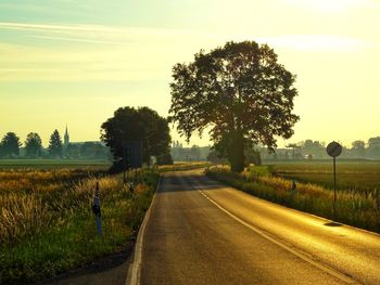 Road by trees on field against sky during sunset