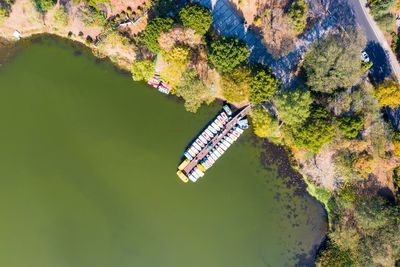 High angle view of plants by lake