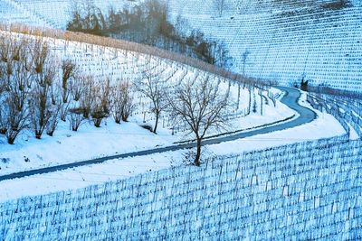 View of snow covered landscape