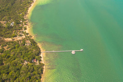 High angle view of plants by sea