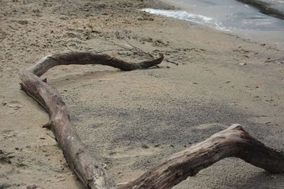 Close-up of sand at beach