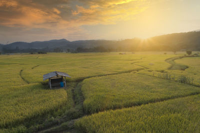 Scenic view of agricultural field against sky during sunset