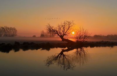 Silhouette tree by river against sky during sunrise