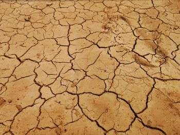 Full frame shot of cracked land