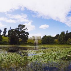 Scenic view of lake against sky in city