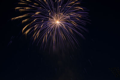 Low angle view of firework display at night