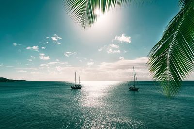 Boats sailing in sea against sky