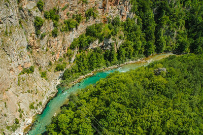 High angle view of river flowing through forest