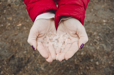 High angle view of man holding hands on field