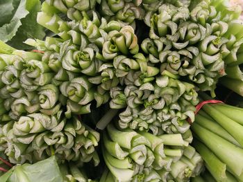 High angle view of vegetables for sale in market