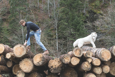 Low angle view of young man walking with dog on logs of wood