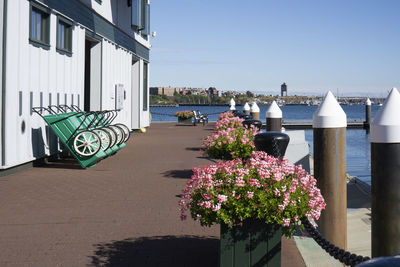 Pier with flowers arrangement on the ground and wheelbarrows leaning against a building