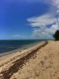 Seven mile beach 