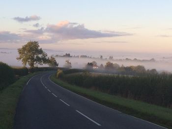 Road by trees against sky during sunset