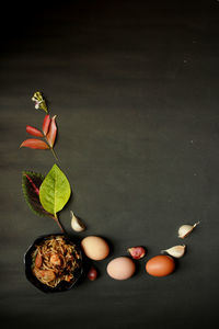 High angle view of flowering plant on table