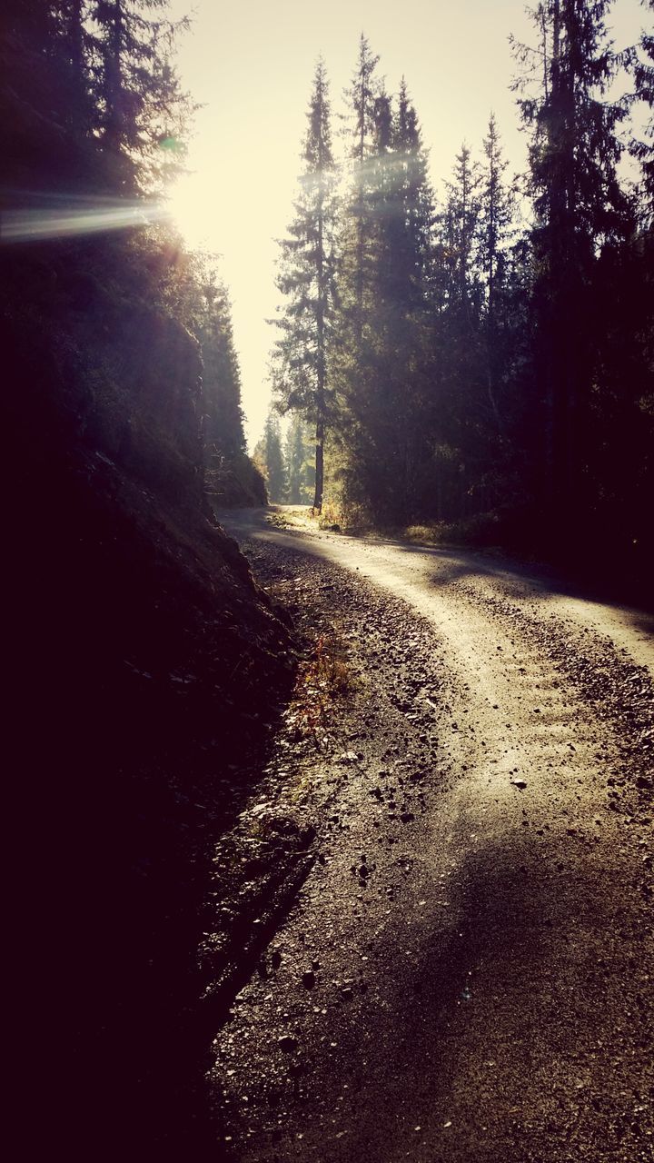 transportation, the way forward, road, tree, street, winter, diminishing perspective, season, weather, snow, vanishing point, cold temperature, asphalt, nature, wet, tranquility, country road, car, surface level, outdoors