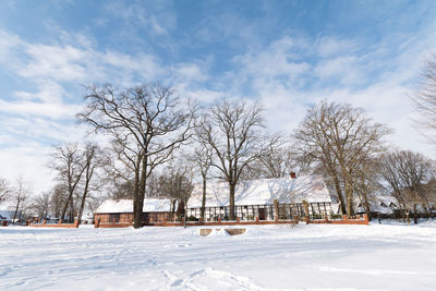 Bare trees on snow covered field against sky