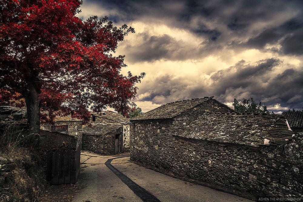 sky, built structure, architecture, cloud - sky, no people, building exterior, tree, outdoors, nature, day, beauty in nature