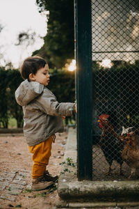 Portrait of boy standing by fence