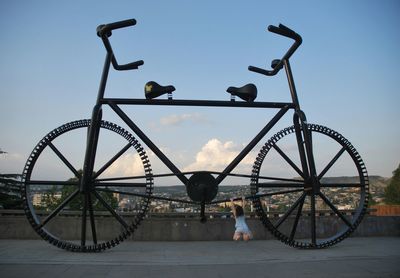 Boy standing by birds against sky