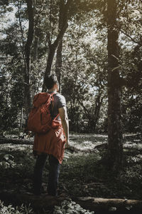 Rear view of couple walking on street amidst trees