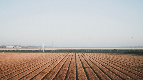 Scenic view of agricultural field against sky