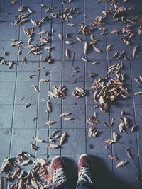 Low section of person standing in autumn leaves