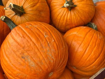 Full frame shot of pumpkins