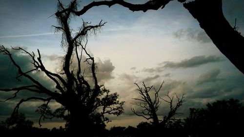 Low angle view of silhouette trees against sky