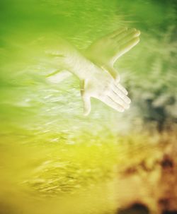 High angle view of snake