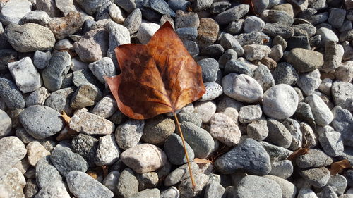 High angle view of stones