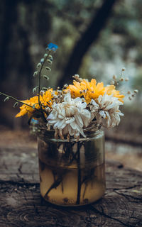 Close-up of yellow flowering plant in jar on table