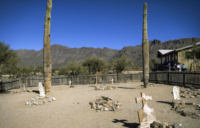 View of birds on landscape against clear blue sky