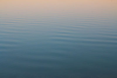 Reflection of trees in water