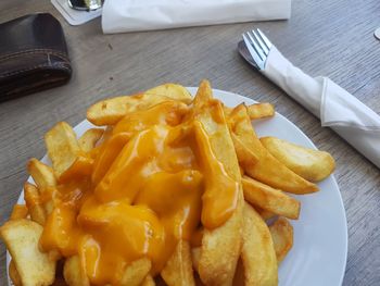High angle view of food on plate cheese fries