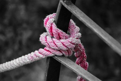 Close-up of rope tied on pink ropes