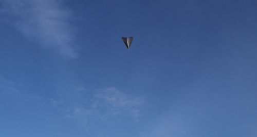 Low angle view of bird flying against blue sky